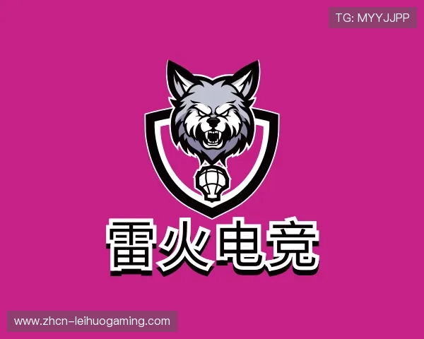 解读雷火电竞团队